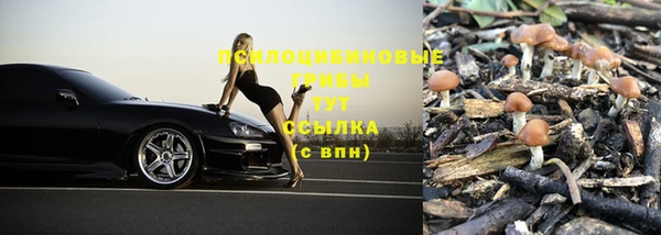 мескалин Вязьма