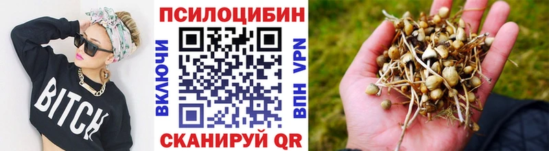 blacksprut онион  Нефтеюганск  Галлюциногенные грибы мухоморы 